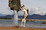 ADULTE ET CHIEN 200